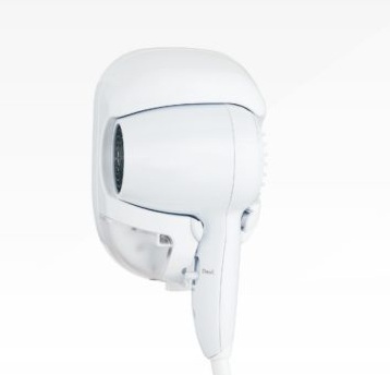 ZD-738 Wall mounted hair dryer